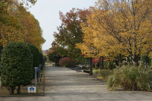 秋の公園